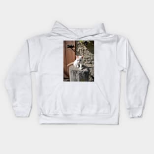 Little cat Jonny Kids Hoodie